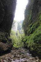 Социальный дом