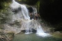 Социальный дом