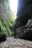 Социальный дом