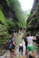 Социальный дом