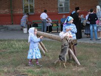 Донская икона Божией Матери Донская икона Божией Матери