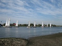 Донская икона Божией Матери Донская икона Божией Матери