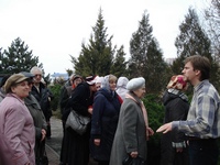 Зеленая лампа