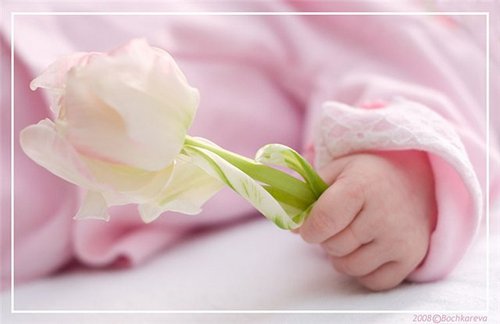 Благо-Дать Благо-Дать