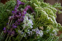 Пятидесятница Пятидесятница