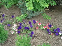 1027-летие Крещения Руси