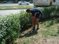 Генеральная уборка перед престольным праздником