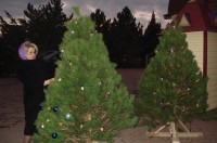 Подготовительные работы к празднику Рождества Христова