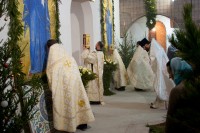 Рождественская Литургия