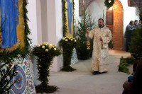 Рождественская Литургия