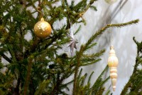 Рождественская Литургия