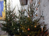 Рождественская Литургия