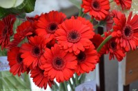 Крещение Господне