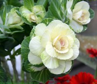 Крещение Господне