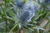 Крещение Господне