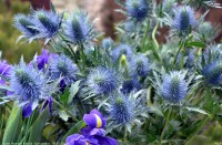 Крещение Господне