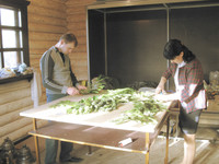 Флористическая мастерская