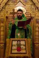 Поставление в звонари