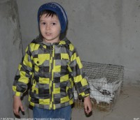 Благовещение Пресвятой Богородицы