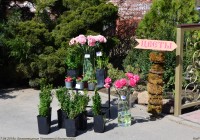 Благовещение Пресвятой Богородицы