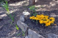 Благовещение Пресвятой Богородицы