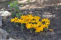 Благовещение Пресвятой Богородицы