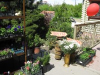 Вход Господень во Иерусалим