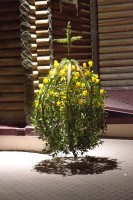 Воскресение Христово