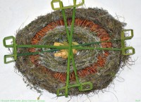 Мастерская флористики и дизайна