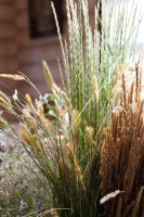 Мастерская флористики и дизайна