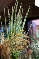 Мастерская флористики и дизайна