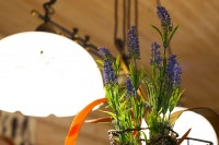 Мастерская флористики и дизайна