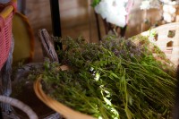 Мастерская флористики и дизайна