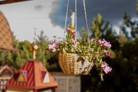 Мастерская флористики и дизайна