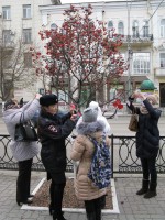 День памяти жертв ДТП