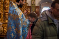 Общее говение