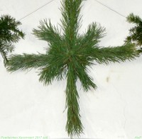 Украшение храма