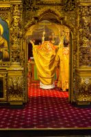 Общее говение звонарей