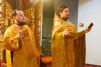 Общее говение звонарей