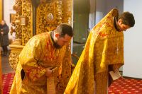 Общее говение звонарей