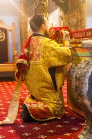 Общее говение звонарей