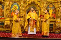 Общее говение звонарей