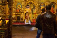 Общее говение звонарей