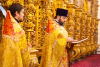 Общее говение звонарей