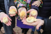 Престольный праздник в честь 40 мучеников Севастийских