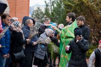 Праздник Входа Господня во Иерусалим