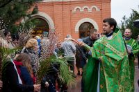 Праздник Входа Господня во Иерусалим