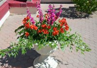 Воскресение Христово