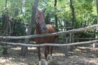 Военно-полевой выход воспитанников приходской воскресной школы в балку Джериганово