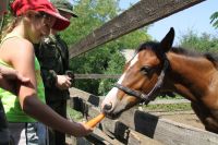 Военно-полевой выход воспитанников приходской воскресной школы в балку Джериганово